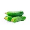 Polan F1 pepino PNOS semillas en cinta, cinta de 6 m