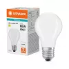 Osram LED Classic A 60 Filament P 5,9 W 840 mate E27 Lámparas LED, forma de bombilla clásica