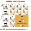 Royal Canin Sphynx Adult comida seca para gatos, 2 kg
