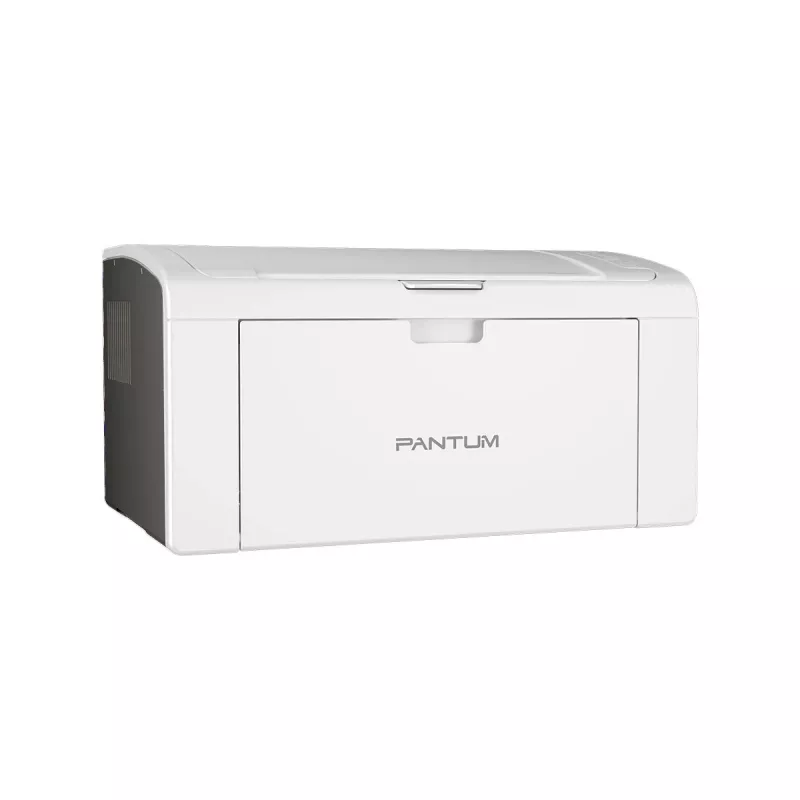 Impresora Pantum P2509W láser blanca