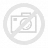 Spirit Island: Branch & Claw, expansión de juego de mesa