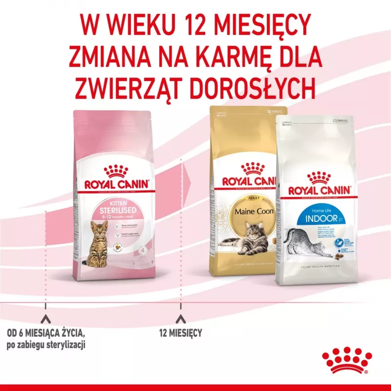 Royal Canin Kitten Sterilised alimento seco para gatos 3,5 kg aves