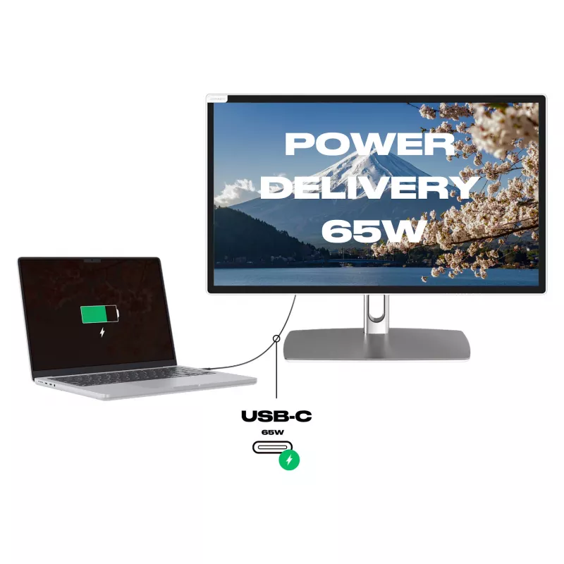 JAPANNEXT Monitor táctil FHD 54,61 cm (21,5