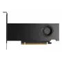 Tarjeta gráfica NVIDIA RTX PRO 2000 16 GB GDDR7