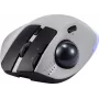 Renkforce RF-6697034 gris