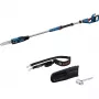 Motosierra de pértiga Bosch GKE 18V-25 TP — 25 cm de longitud de corte, inalámbrica 18 V (06008D6000)