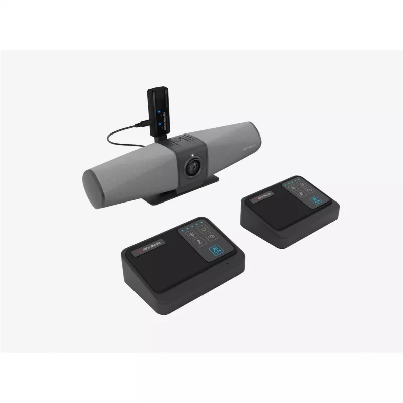 AVer Set de micrófonos inalámbricos para PA511D AW111 (61AW111000AB)