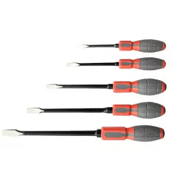 FORGE Juego de destornilladores 5 piezas RWWc 0,8x5,5, 1,0x6,5, 1,2x8,0, 1,6x10, 2,0x13