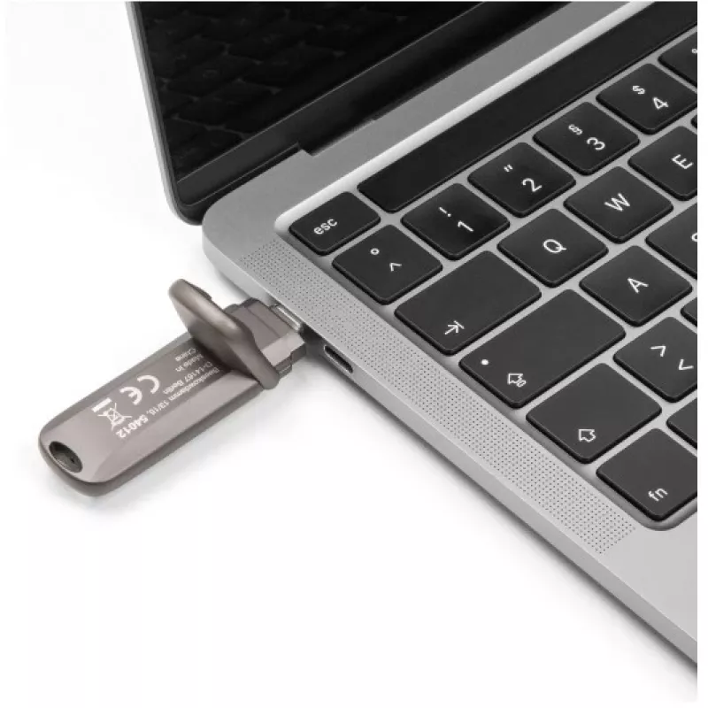 Memoria flash USB DeLOCK 54012 256 GB USB Type-C gris