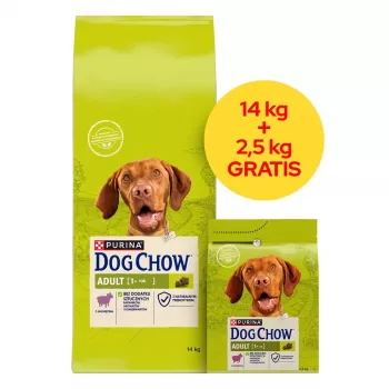 PURINA Dog Chow Adult Lamb - Comida seca para perros - 14 + 2,5 kg