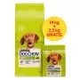 PURINA Dog Chow Adult Lamb - Comida seca para perros - 14 + 2,5 kg