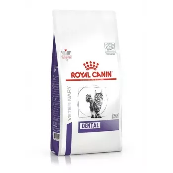 Pienso para gatos Royal Canin Dental 1,5 kg — Adultos, sabor a ave, 29 % proteínas, cuidado dental