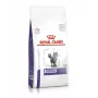Royal Canin Dental pienso seco para gatos, 1,5 kg