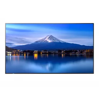 Pantalla de gran formato SHARP NEC P506 50 pulgadas Serie P UHD