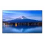 Pantalla de gran formato SHARP NEC P506 50 pulgadas Serie P UHD