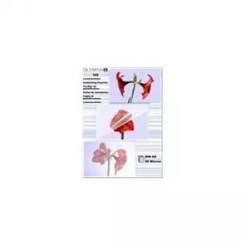 Fundas de laminar Olympia 1x100 DIN A6 80 micras