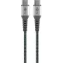 Wentronic 79559 cable USB plateado