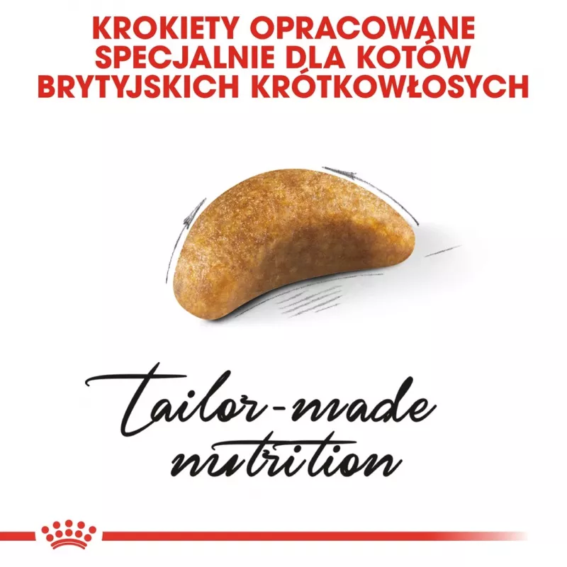Pienso para gatos Royal Canin British Shorthair Kitten 2 kg — Pollo, 38 % proteínas, 20 % grasas, fórmula de crecimiento