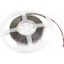 EUROLITE Tira LED 300 5m 3528 3000K 12V (50530106)