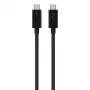 Cable USB-C a USB-C Belkin F2CD084bt0.8MBK 0,8 m 40 Gbit/s negro