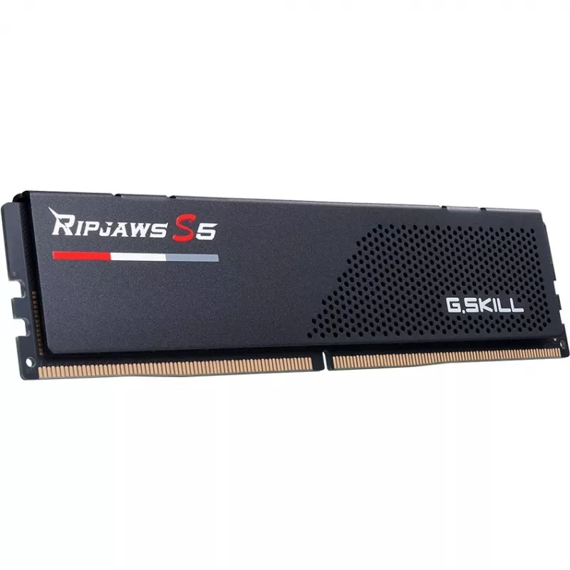 G.skill F5-6400J3239F24GX2-RS5K Módulo de memoria