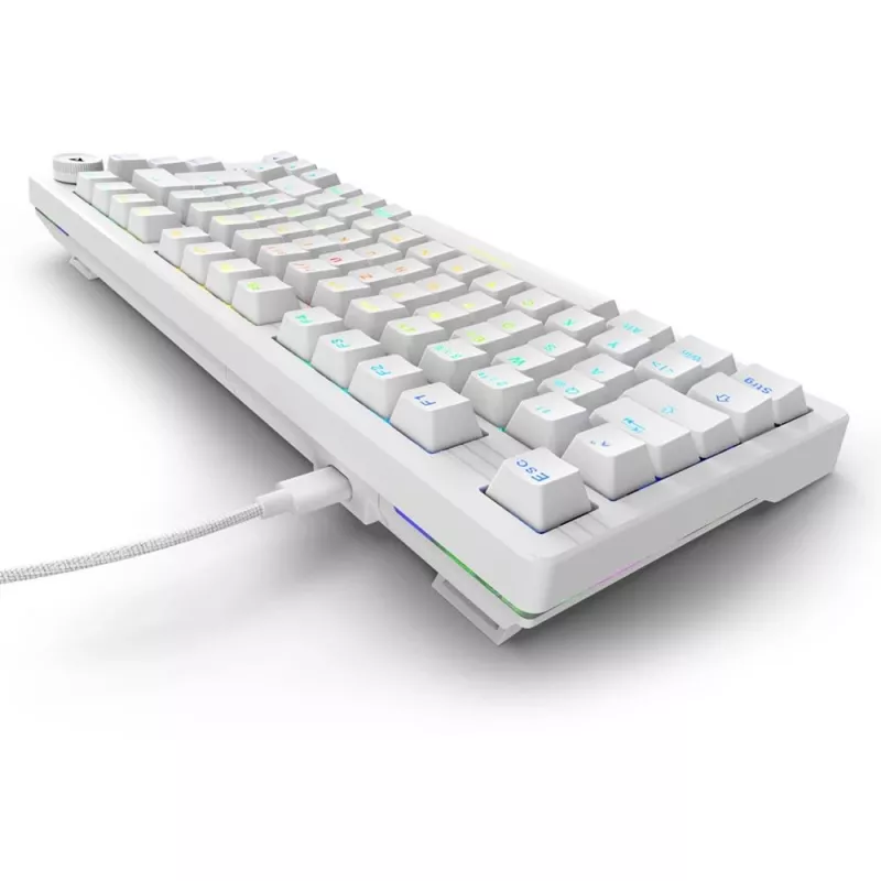 Sharkoon SGK25 75% QWERTZ USB Teclado con cable RGB LED blanco