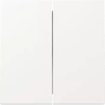 GIRA tecla 329570 2f FL RW (329570)