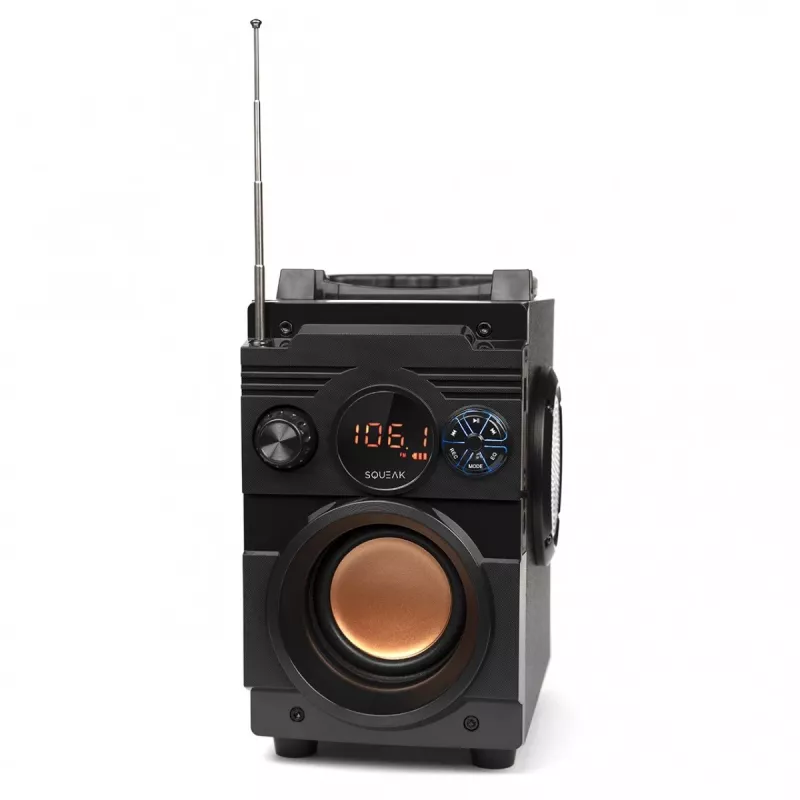Squeak Bassblaster Altavoz Bluetooth 5.1, radio FM, reproductor MP3 SQ1001