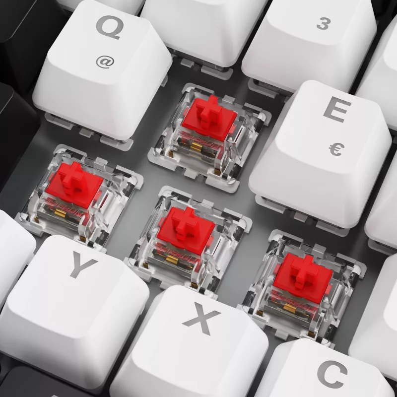 Sharkoon SKILLER SGK50 S3 - teclado - 75% - retroiluminación - USB - QWERTZ - Alemán - interruptores: Gateron Red (Hot-swappable)