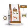 PUPIL Premium Insectos - Pienso seco para perros - 12 kg