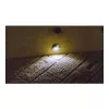 Synergy 21 S21-LED-L00024 apto para interior/exterior para interior empotrable 0,6 W negro - plata foco de luz