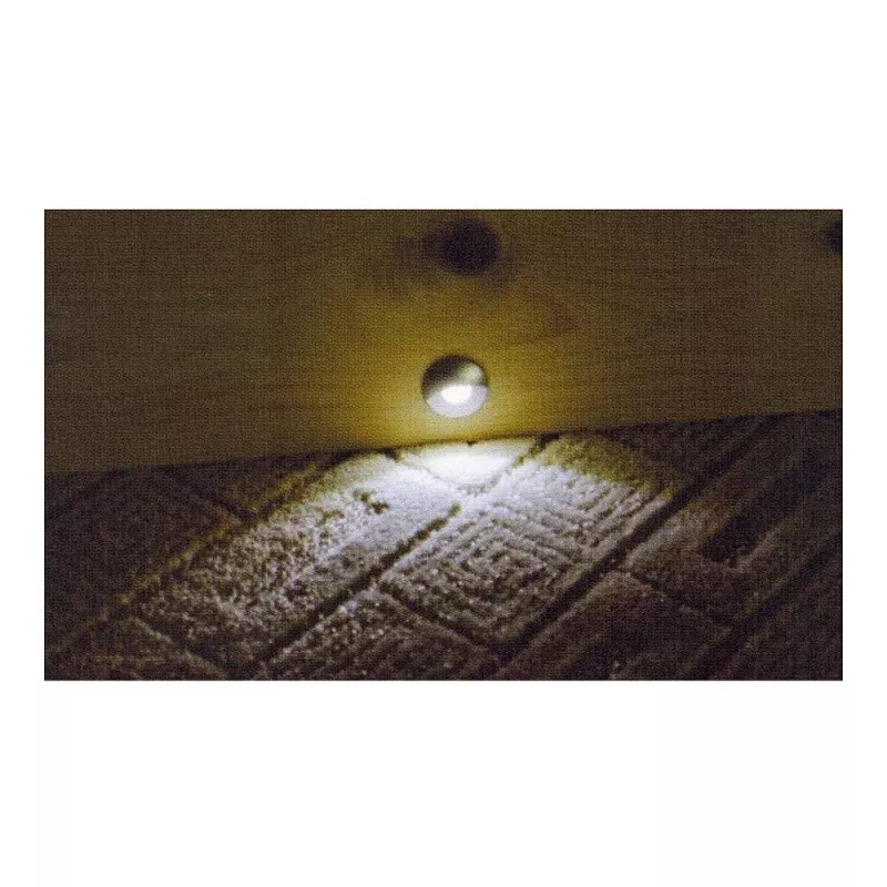 Synergy 21 S21-LED-L00024 apto para interior/exterior para interior empotrable 0,6 W negro - plata foco de luz
