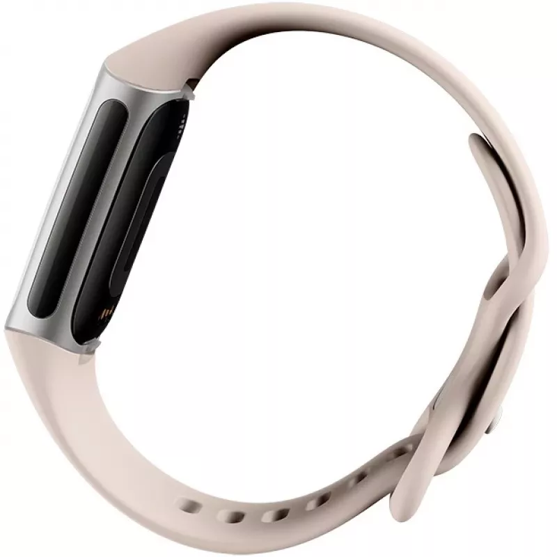 Fitbit GA05185-EU Producto Plata