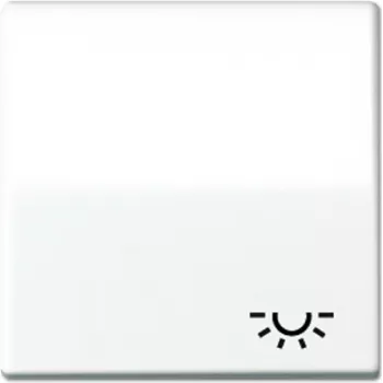Panel de control de interruptor eléctrico de montaje en pared JUNG AS 591 L WW, superficie blanca