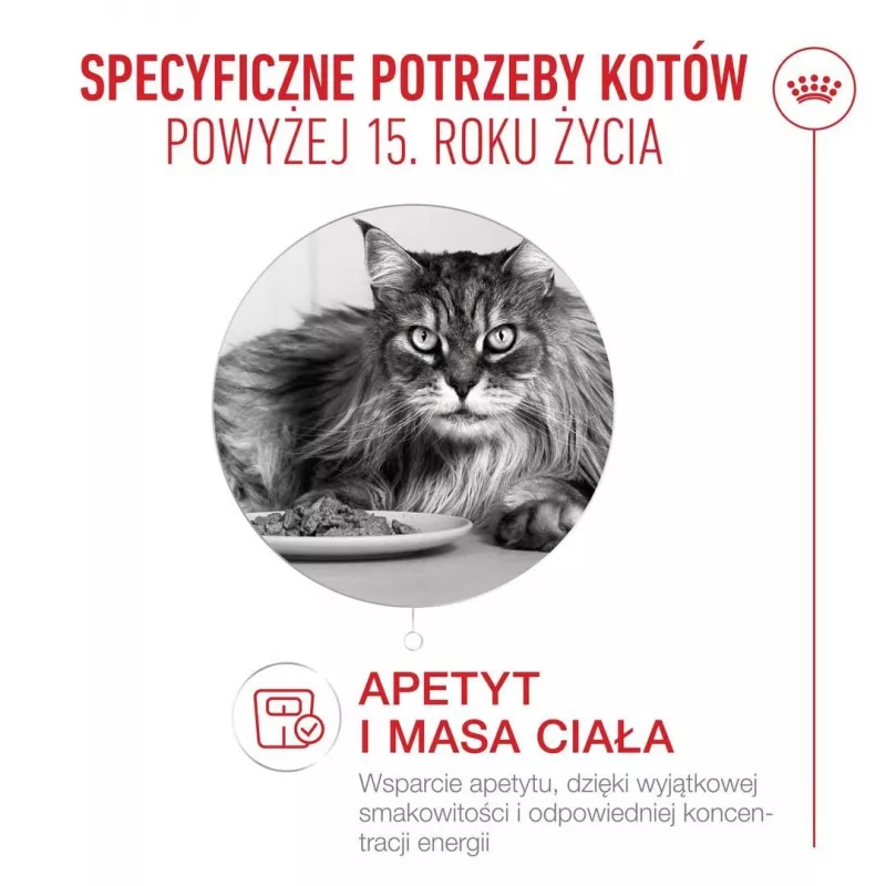 ROYAL CANIN Ageing 15+ pienso seco para gatos – 4 kg