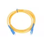 Cable de parcheo Extralink SC/UPC-SC/UPC, monomodo, simplex, G.657A1, 3 mm, 2 m