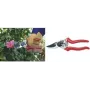 Tijera de jardín de bypass C.K Tools G5631 215 mm – 215 mm de longitud de corte, cuchillas de bypass