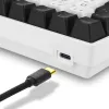 Sharkoon SKILLER SGK50 S3 teclado gaming USB QWERTY portugués blanco