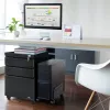 Unidad de cajones de oficina Maclean MC-850 Negro Metal 2 cajones