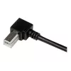 StarTech.com Cable USB 2.0 A a B en ángulo recto de 3 m – M/M, 3 m, USB A, USB B, USB 2.0, negro