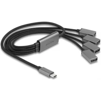 DeLOCK 64210 hub USB 2.0 Type-C 480 Mbit/s negro gris