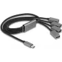 DeLOCK 64210 hub USB 2.0 Type-C 480 Mbit/s negro gris