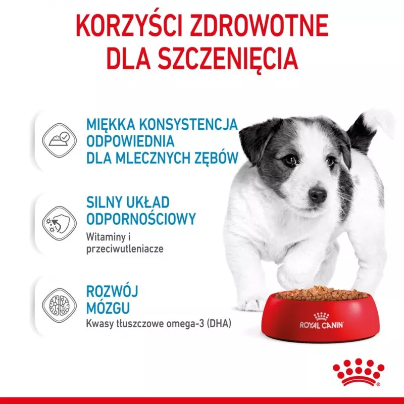 ROYAL CANIN SHN Mini Puppy en salsa - Comida húmeda para cachorros - 12X85g