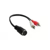 Alcasa AD-2CS5B cable de audio 0,2 m 2 x RCA DIN (5 pines) negro - rojo - blanco (AD-2CS5B)