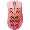 Ratón Deltaco GAM-120-P