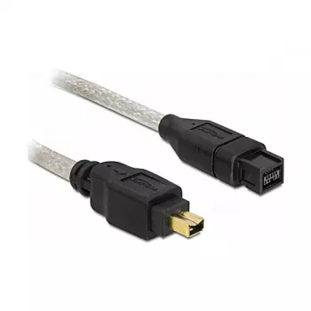 Cable FireWire A/B DeLOCK 82589 2,0 m Gris macho/macho