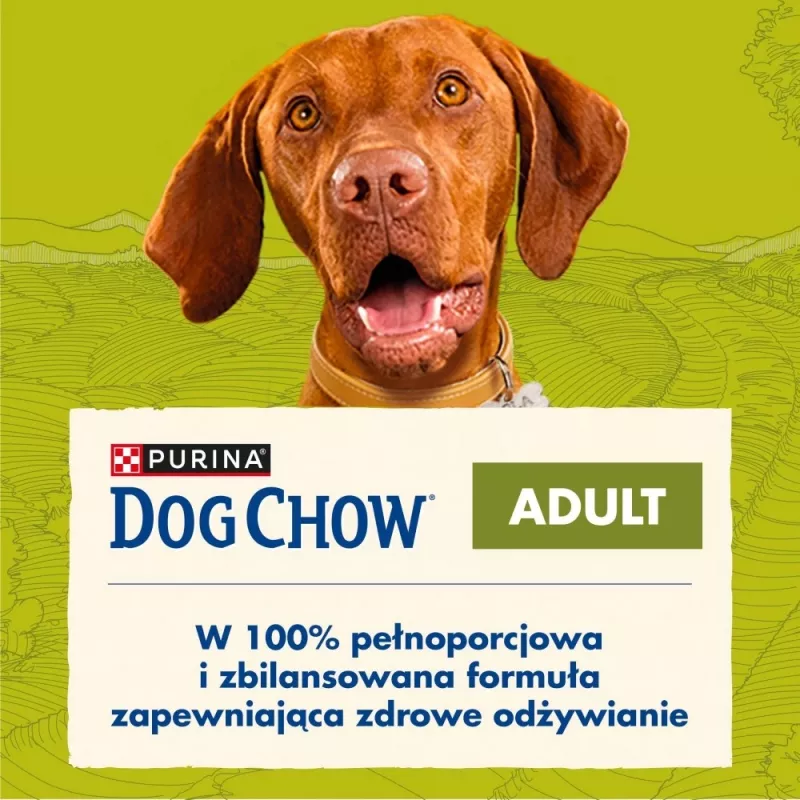 PURINA Dog Chow Adult Lamb - Comida seca para perros - 14 + 2,5 kg