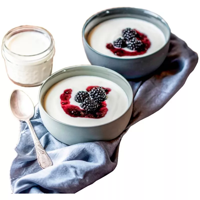 Rommelsbacher JG 80 Yogurtera 1,2 l Quark - yogur 20 W (JG80)