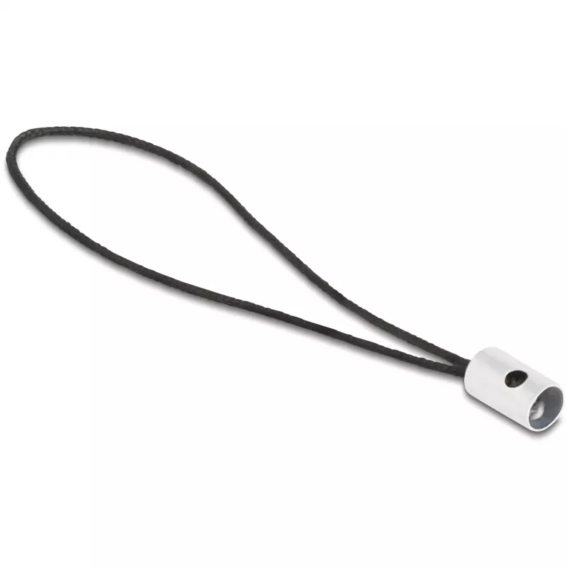 Adaptador de cable DeLOCK 60688 USB 2.0 Type-C a 8-Pin Lightning Antracita