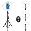 Agfa Arl11xl Ring Light anillo LED 11